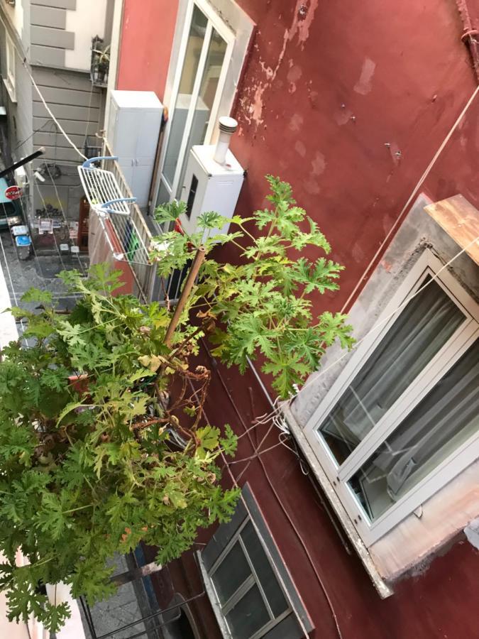 فندق Cisterna'S House نابولي المظهر الخارجي الصورة